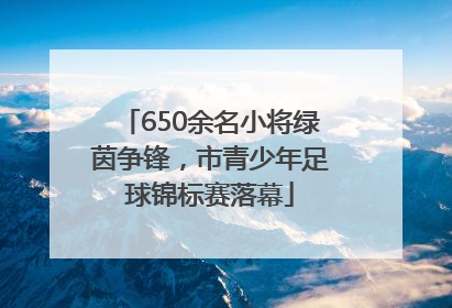 650余名小将绿茵争锋，市青少年足球锦标赛落幕