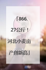 866.27公斤！河北小麦亩产创新高