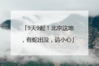 9天9起！北京这地，有蛇出没，请小心