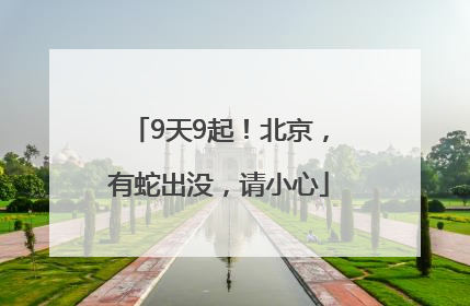 9天9起！北京，有蛇出没，请小心