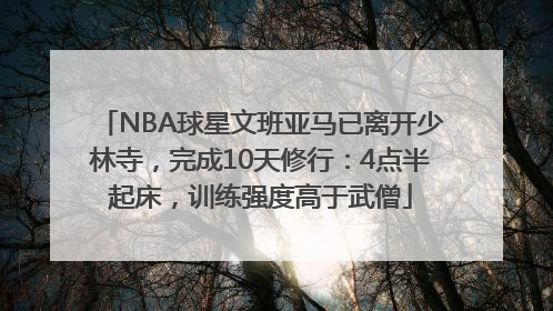 NBA球星文班亚马已离开少林寺，完成10天修行：4点半起床，训练强度高于武僧